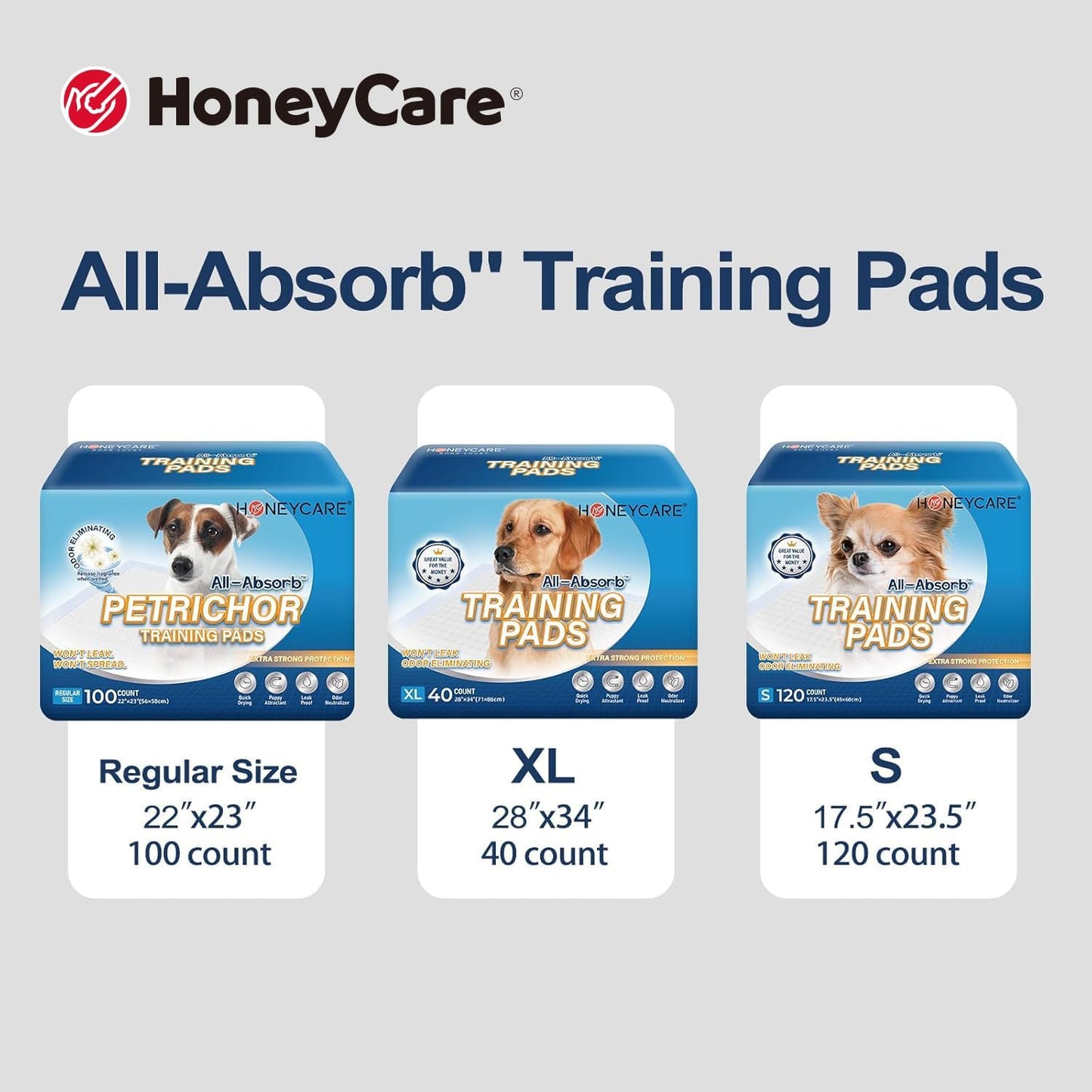 All-Absorb, Large 22" X 23", 100 Count, Dog and Puppy Training Pads, Ultra Absorbent and Odor Eliminating, Leak-Proof 5-Layer Potty Training Pads with Quick-Dry Surface, Blue, A01