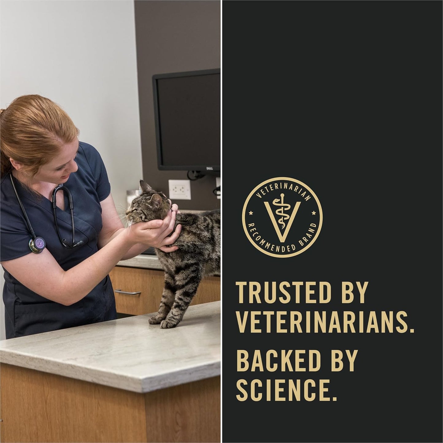 Allergen Reducing, High Protein Cat Food, LIVECLEAR Salmon and Rice Formula