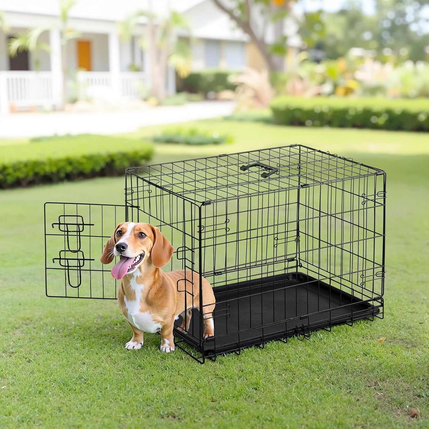 30 Inch Single Door Dog Crate, Metal Pet Kennel with Secure Lock, Foldable Design, Removable Tray for Easy Cleaning, Portable Puppy Cage for Small Dogs, Ideal for Training & Travel