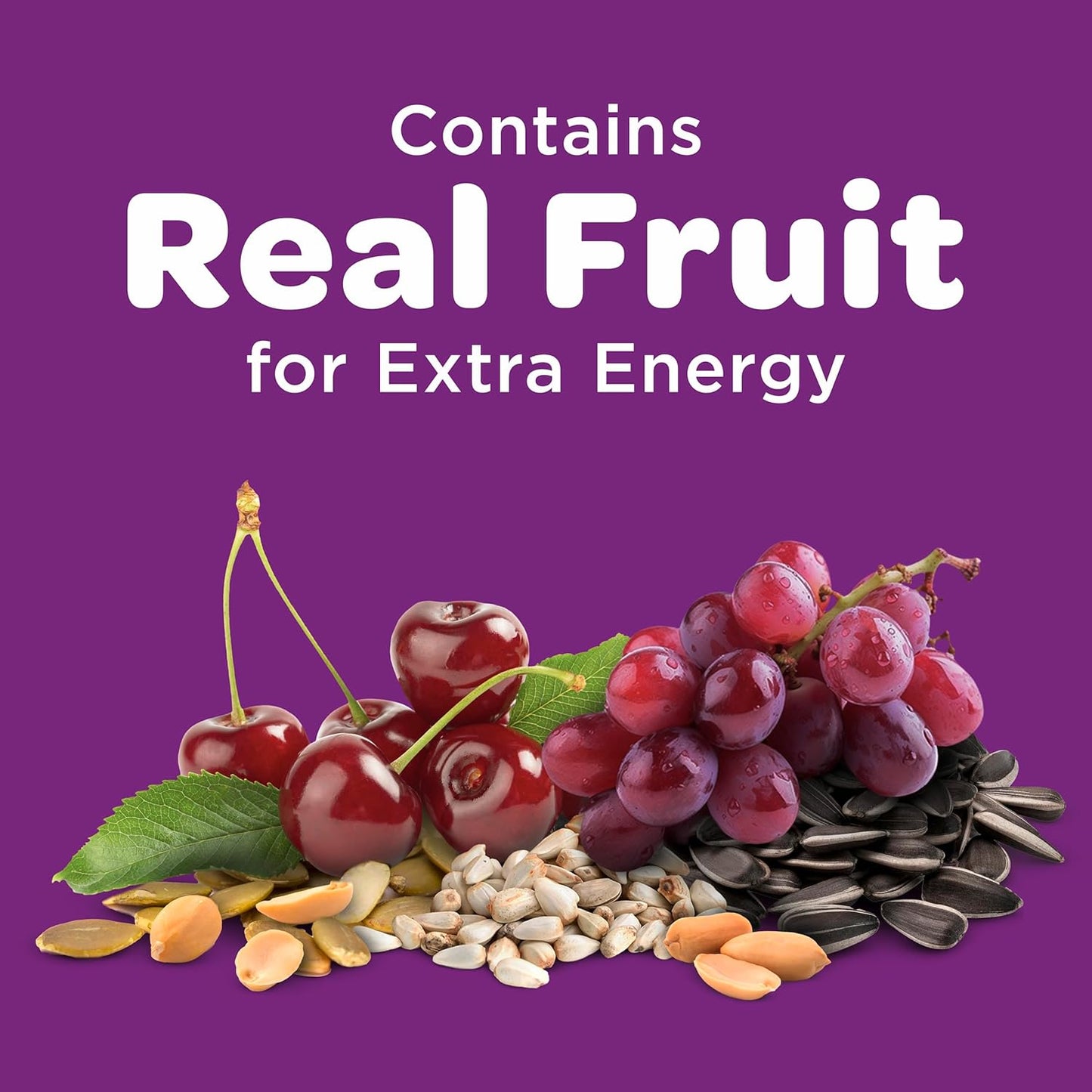 Nut & Fruit Wild Bird Seed, 5 Lb
