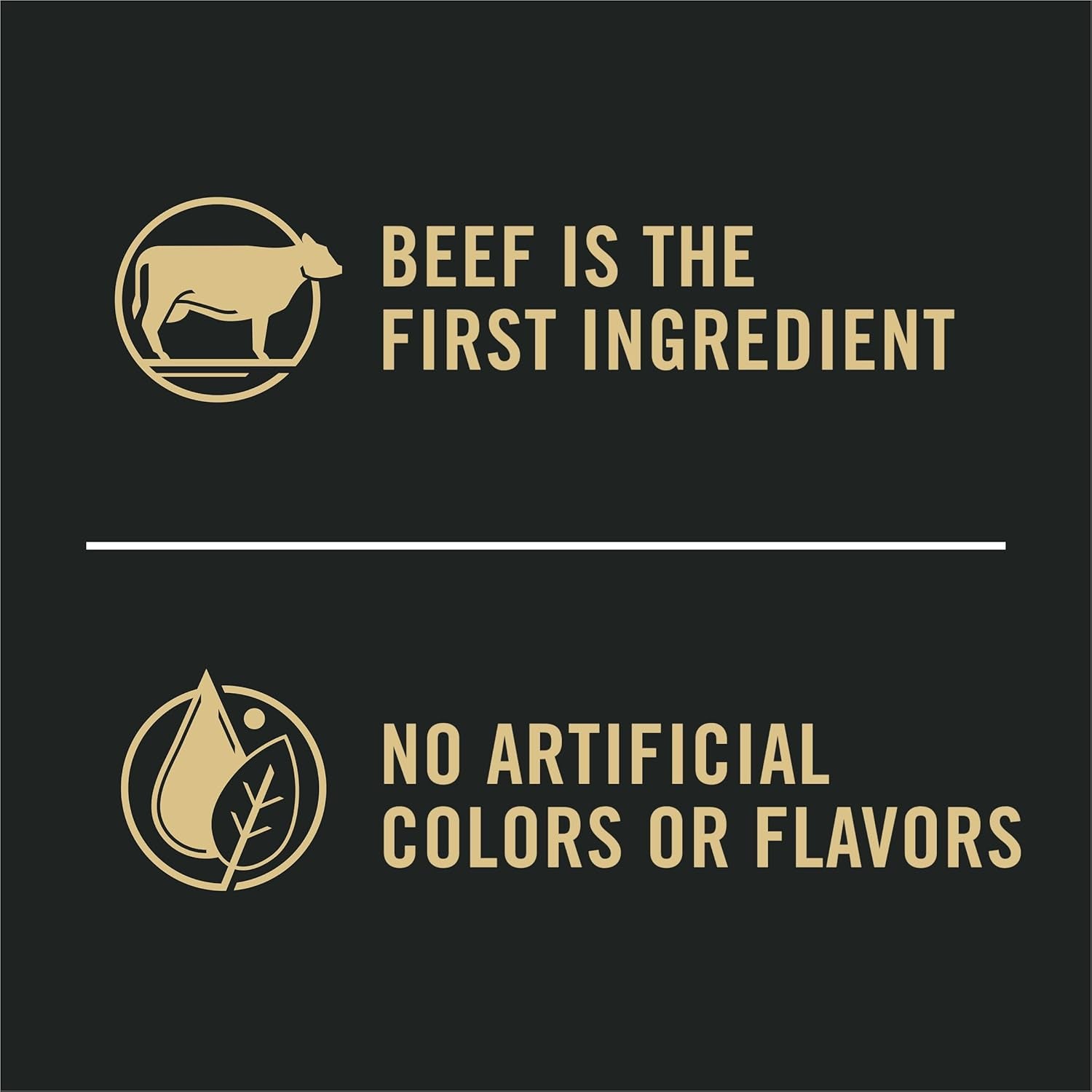 Complete Essentials Shredded Blend Beef and Rice Dog Food Dry Formula with Probiotics for Dogs - 15 Lb. Bag