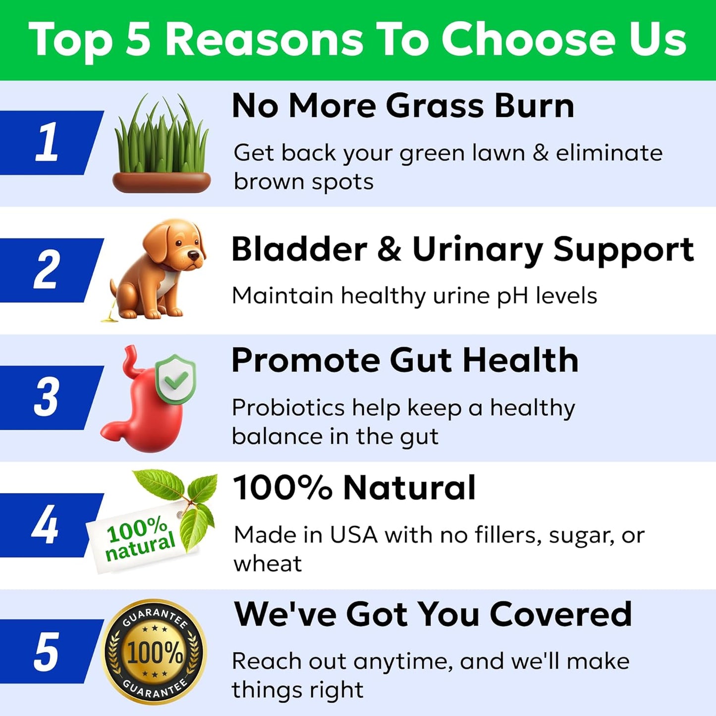 Green Grass Chews - Dog Pee Grass Spot Saver Caused by Dog Urine - Urine Neutralizer for Lawn, Gut Health Probiotics & Enzymes, Lawn Burn from Pee, Grass Burn Spot Chews Rocks