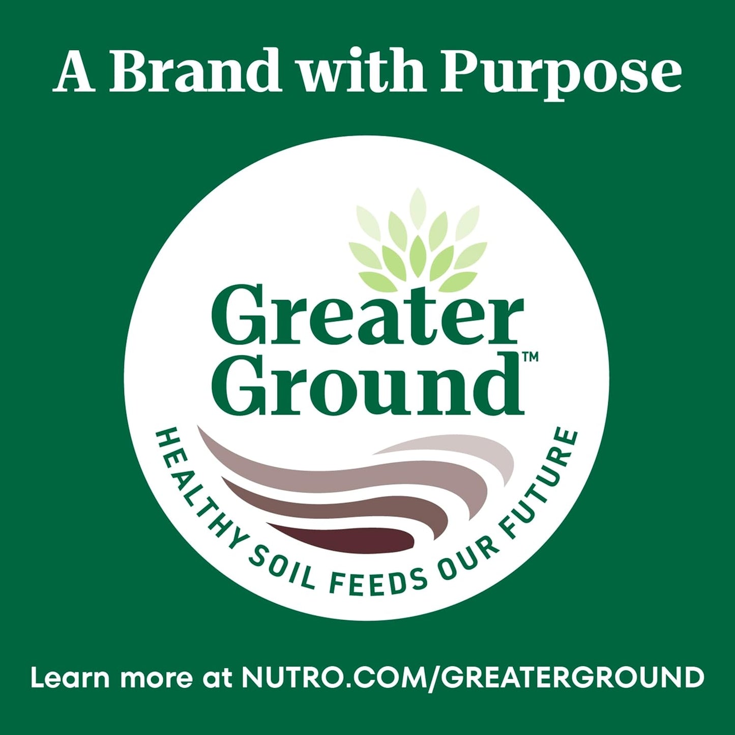 Wholesome Essentials Indoor Dry Cat Food, Chicken & Brown Rice Recipe, 5 Lb. Bag