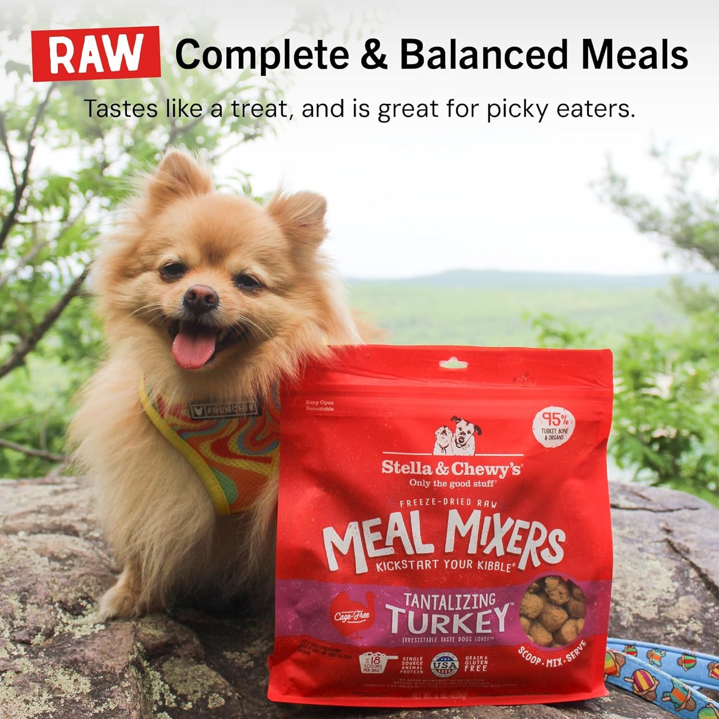 Freeze-Dried Raw Tantalizing Turkey Meal Mixers- Dog Food Topper and Mixer - Made with 95% Cage-Free Turkey, Organs & Bone - Perfect for Picky Eaters - Grain-Free - 18 Oz