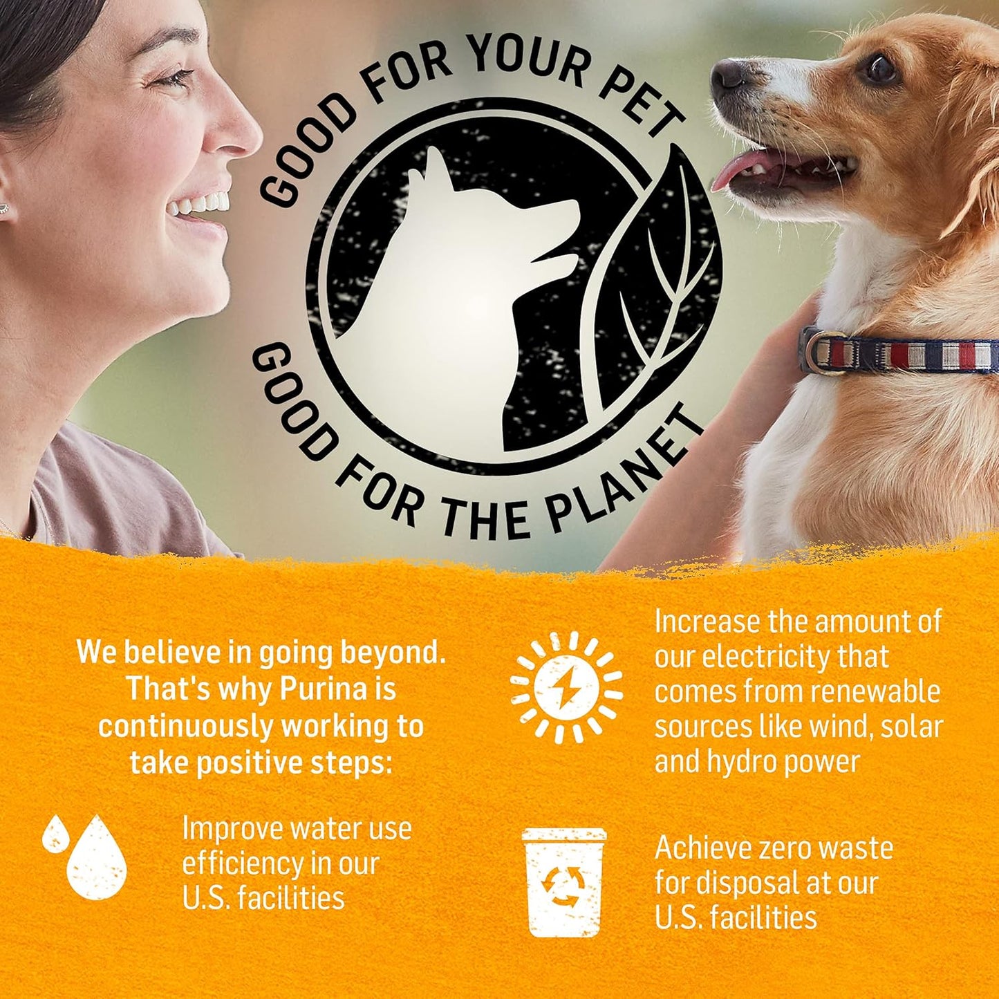 Chicken, Carrot and Pea Ground Grain Free Wet Dog Food Natural Pate with Added Vitamins and Minerals - (Pack of 12) 13 Oz. Cans