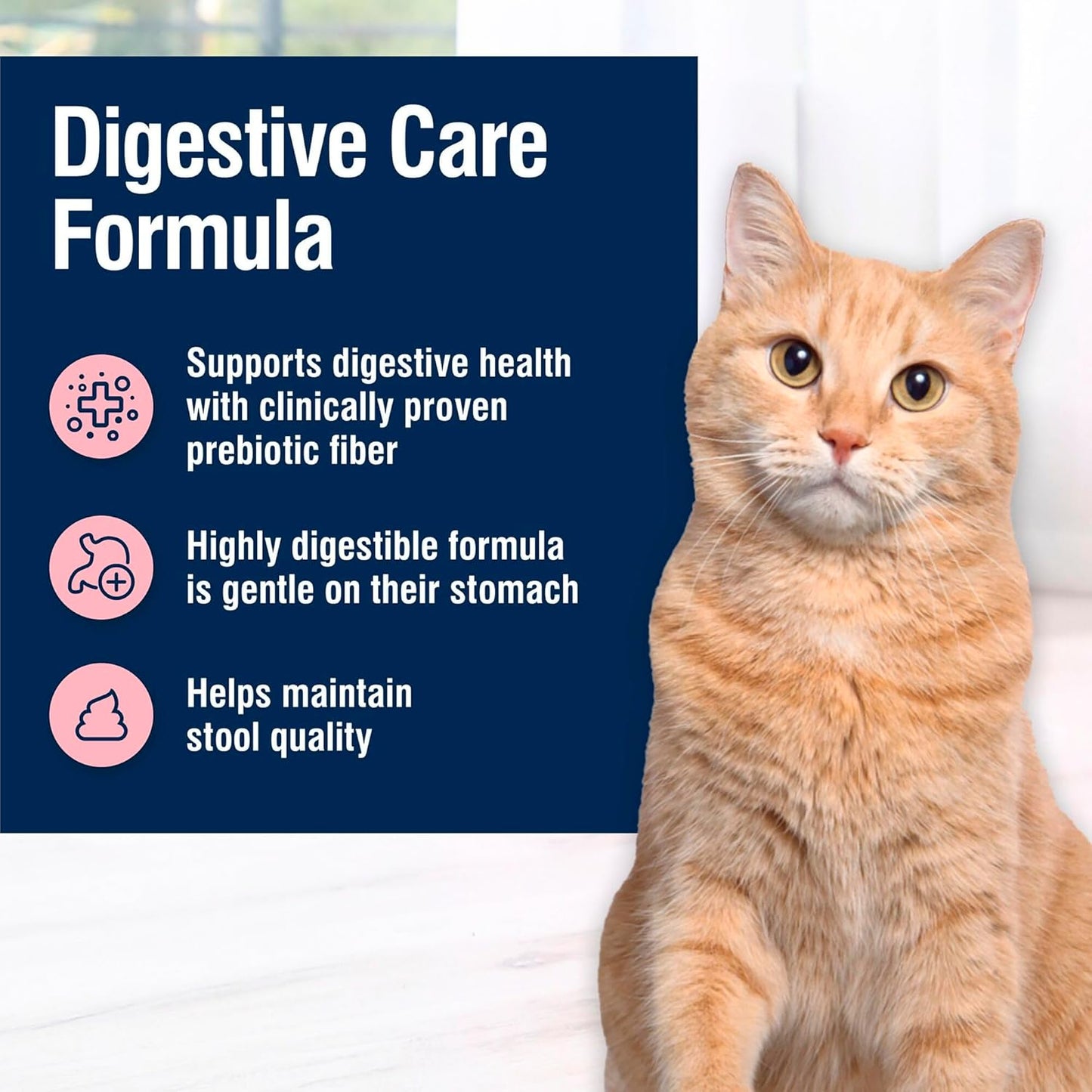 True Solutions Digestive Care Natural Dry Cat Food for Adult Cats, Chicken, 3.5-Lb. Bag