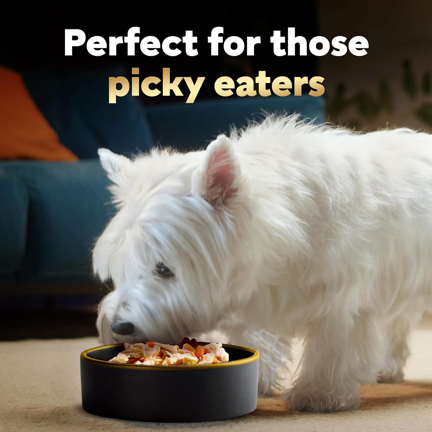 Simply Crafted Adult Wet Dog Food Meal Topper, Chicken, Carrots, Potatoes & Peas and Chicken, Sweet Potato, Apple, Barley & Spinach Variety Pack (8 Count, Pack of 2)