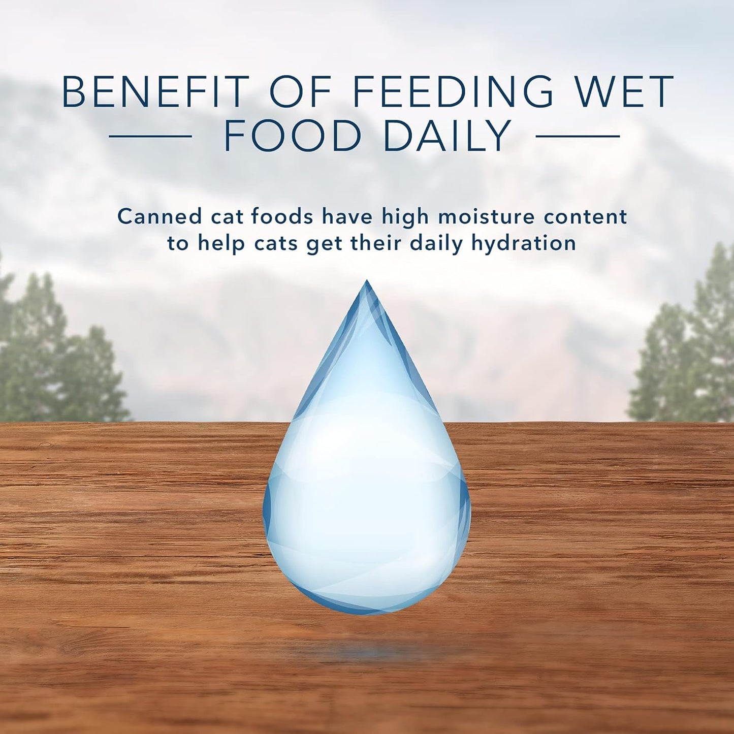 Wilderness High Protein, Natural Adult Pate Wet Cat Food Variety Pack, Chicken, Salmon, Duck 3-Oz Cans (24 Count- 8 of Each Flavor)