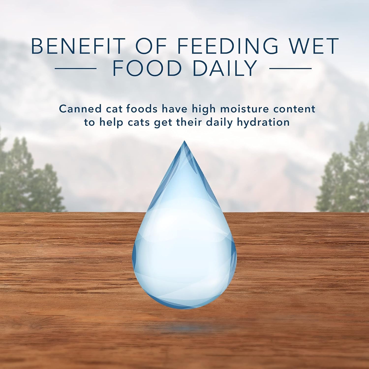 Wilderness High Protein, Natural Adult Pate Wet Cat Food Variety Pack, Chicken, Salmon, Duck 3-Oz Cans (24 Count- 8 of Each Flavor)