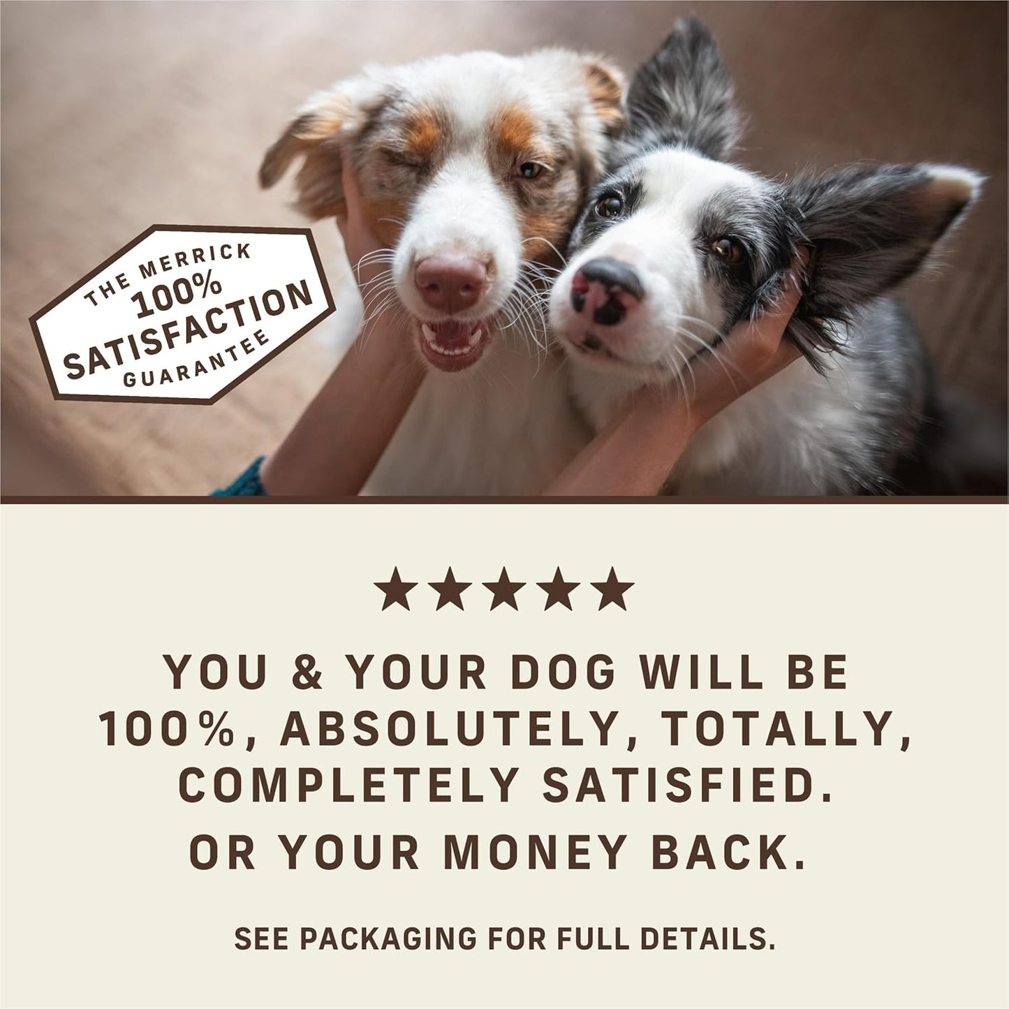 Power Bites Natural Soft and Chewy Real Meat Dog Treats, Grain Free Snack with Real Salmon Recipe - 6 Oz. Bag