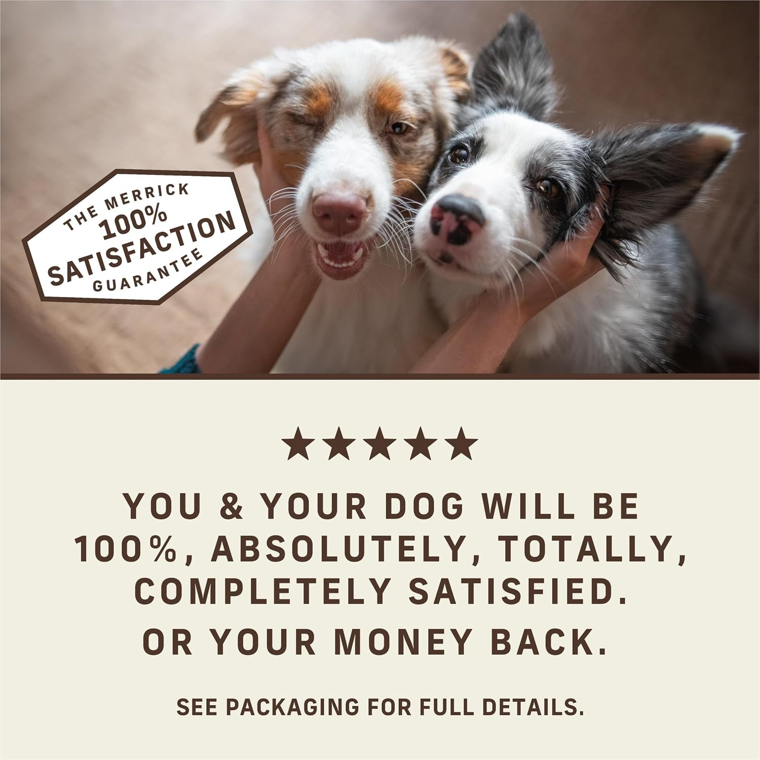 Power Bites Natural Soft and Chewy Real Meat Dog Treats, Grain Free Snack with Real Salmon Recipe - 6 Oz. Bag