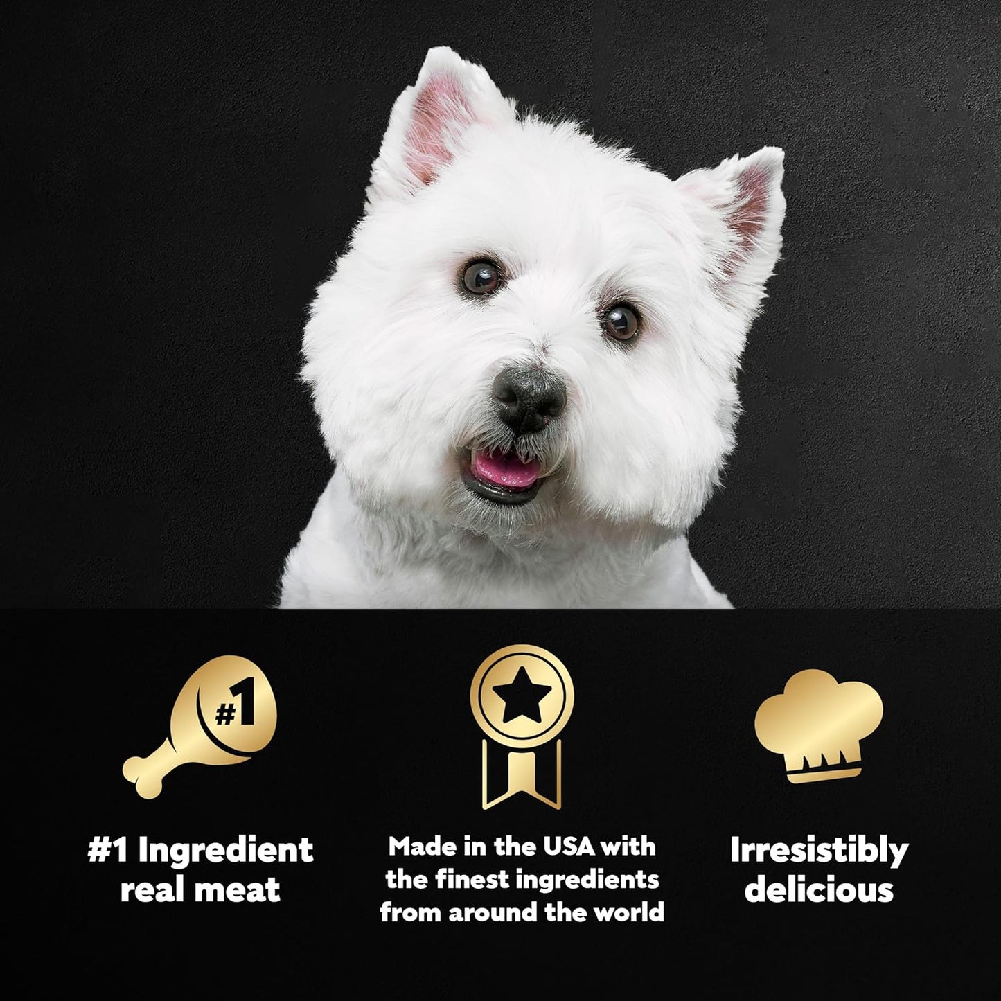 Wet Dog Food Classic Loaf in Sauce Breakfast and Dinner Mealtime Variety Pack, 3.5 Oz. Easy Peel Trays (12 Count, Pack of 1)