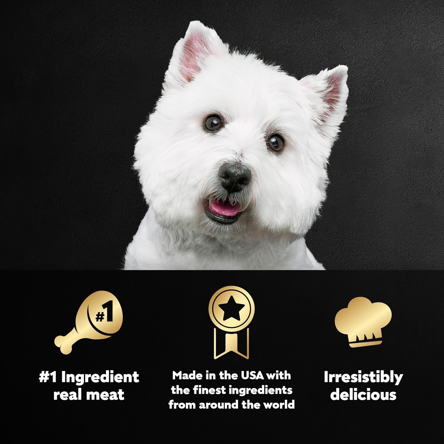 Wet Dog Food Classic Loaf in Sauce Breakfast Variety Pack, 3.5 Oz. Easy Peel Trays (12 Count, Pack of 2)