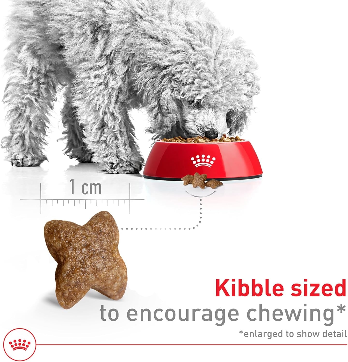 Size Health Nutrition Small Adult Dry Dog Food, 4 Lb