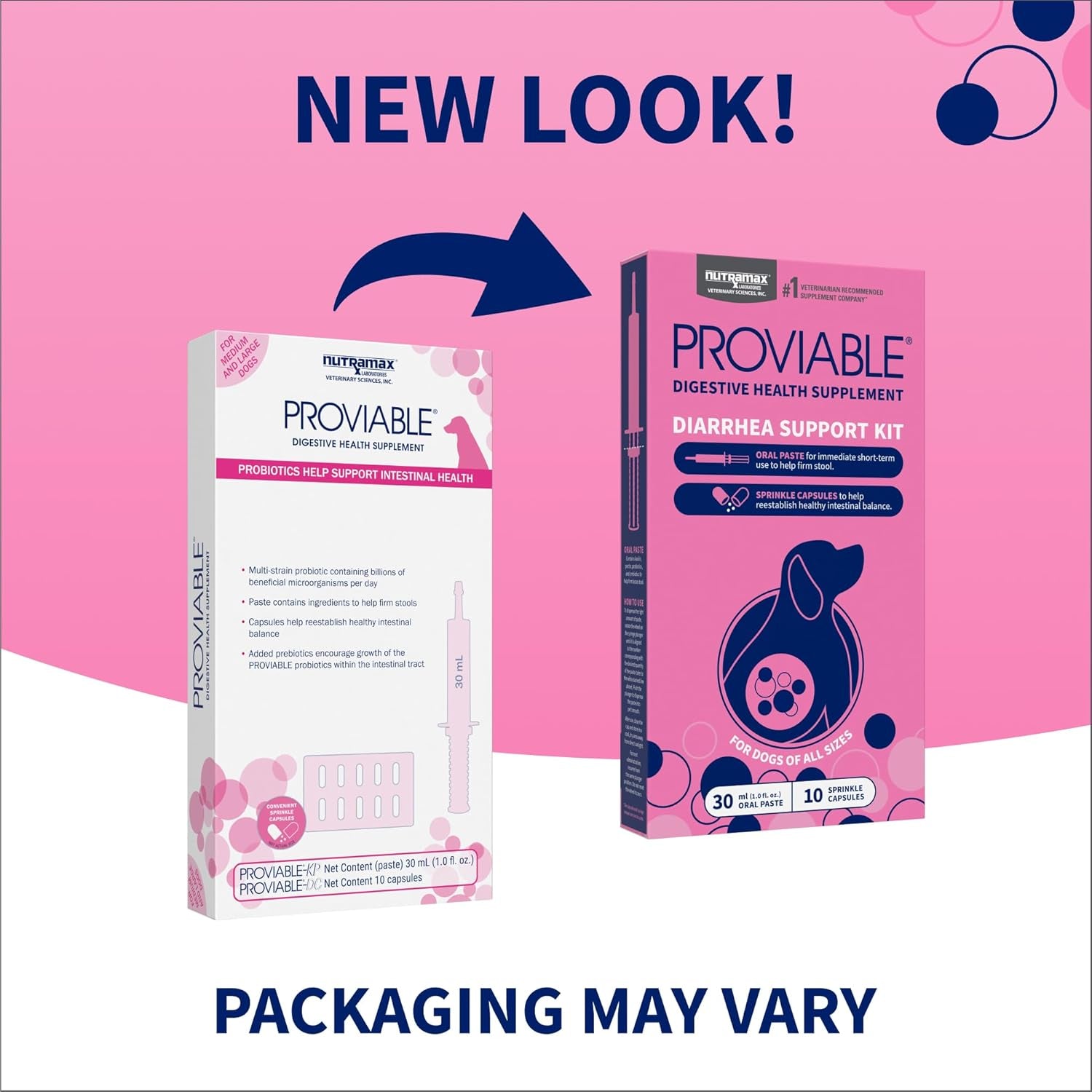 Nutramax Proviable Probiotics for Dogs, Diarrhea Support Kit, Digestive Health Supplement with Multiple Strains of Bacteria, plus Prebiotics, Kaolin and Pectin, 30 Ml Paste and 10 Capsules