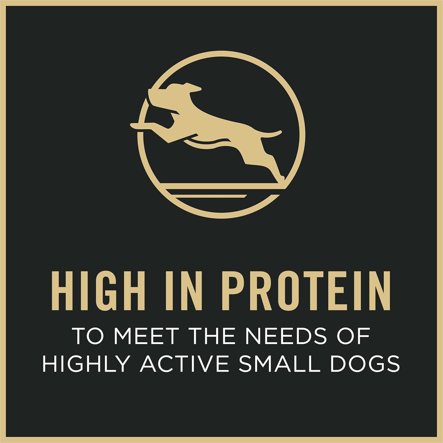 Small Breed High Protein Dog Food Dry Shredded Blend Lamb and Rice Formula - 6 Lb. Bag