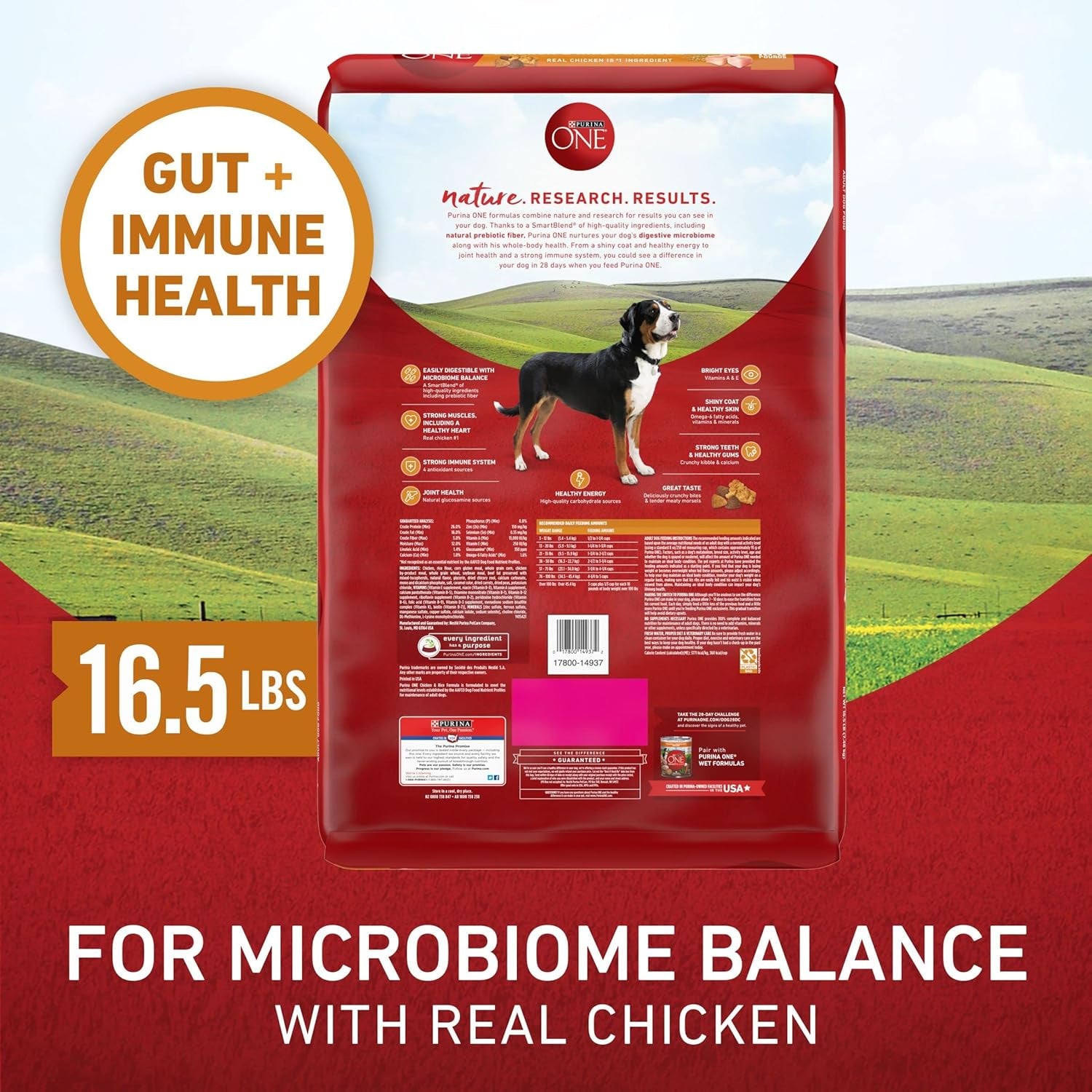 Chicken and Rice Formula Dry Dog Food - 16.5 Lb. Bag