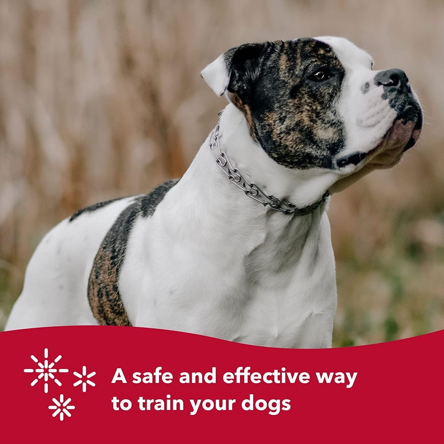 Ultra-Plus Prong Dog Training Collar, 2.25 Mm X 13" Neck Size, 2.25 Mm, Steel Chrome Plated Dog Prong Collar, Pinch Collar for Dogs, Dog Correction Collar