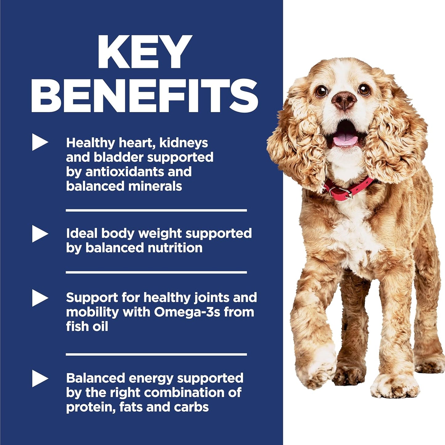 Small & Mini, Senior Adult 11+, Small & Mini Breeds Senior Premium Nutrition, Dry Dog Food, Chicken, Brown Rice & Barley, 4.5 Lb Bag