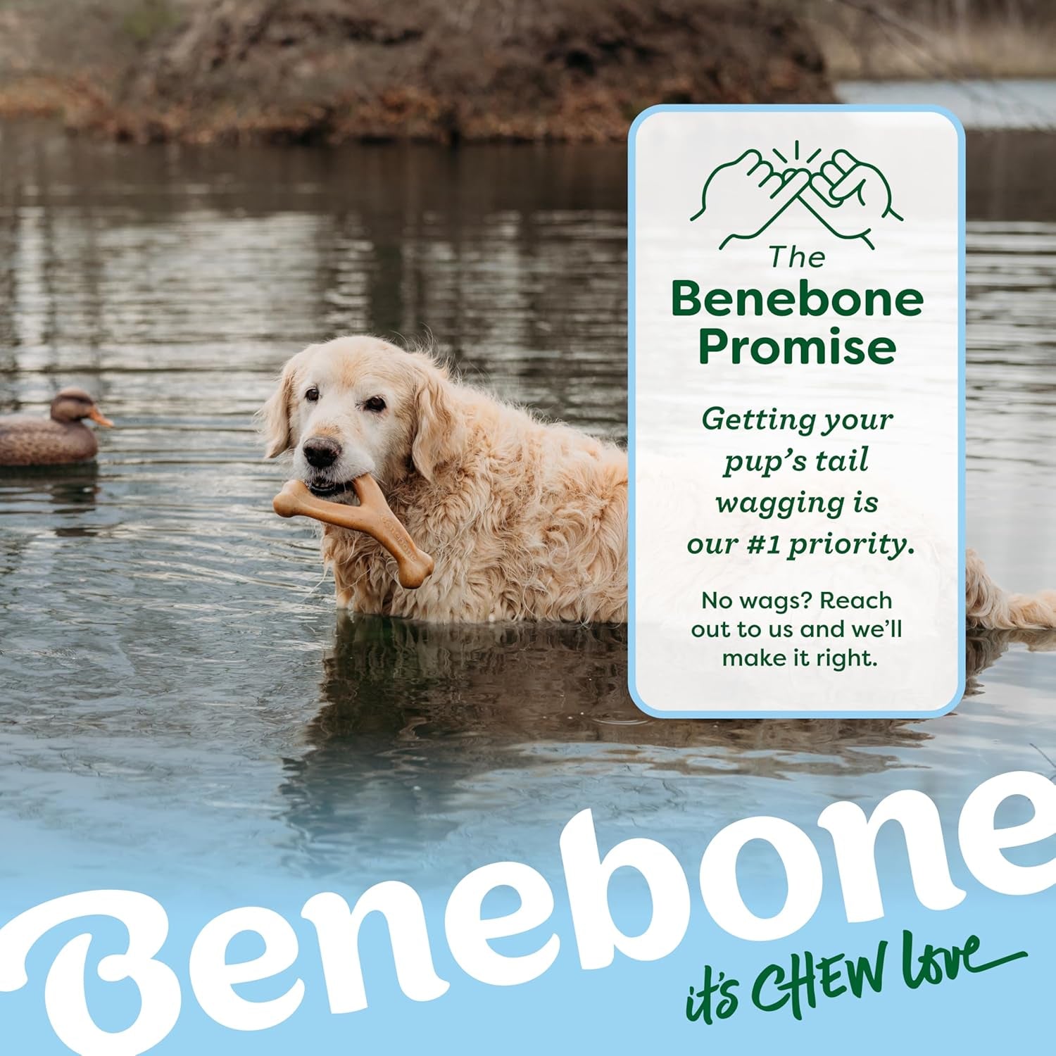 Wishbone Durable Dog Chew Toy for Aggressive Chewers, Duck, Made in USA, Medium