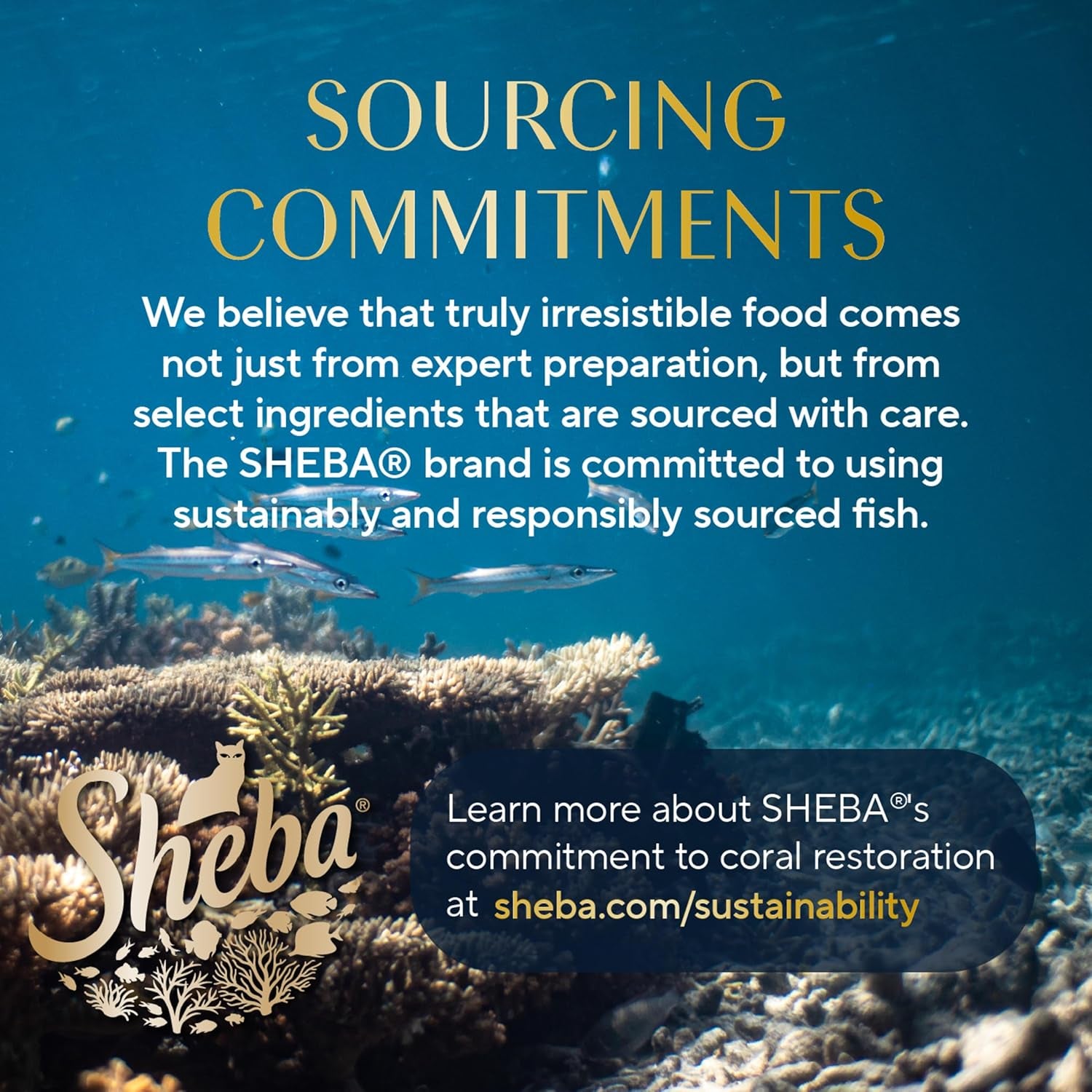 Gravy Indulgence Adult Wet Cat Food Chicken Entree in Extra Gravy, 2.6 Oz. Twin-Pack Trays (24 Count, 48 Servings)