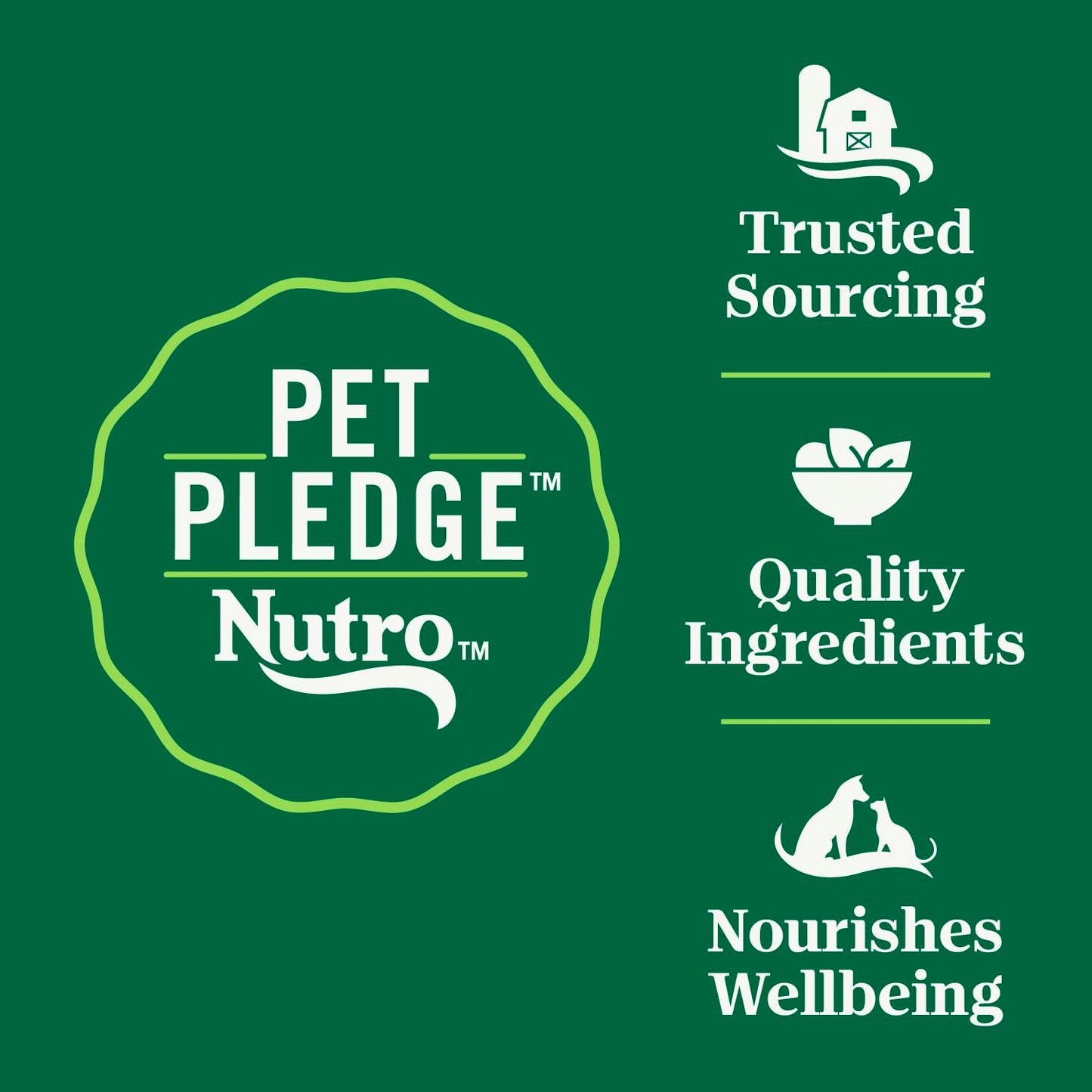 Wholesome Essentials Indoor Dry Cat Food, Chicken & Brown Rice Recipe, 14 Lb. Bag