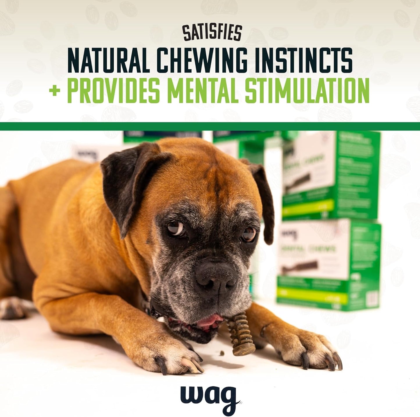 Amazon Brand -  Dental Chews - Green Dental Brush for Dogs, Large, Unflavored, 24 Count (Pack of 1)