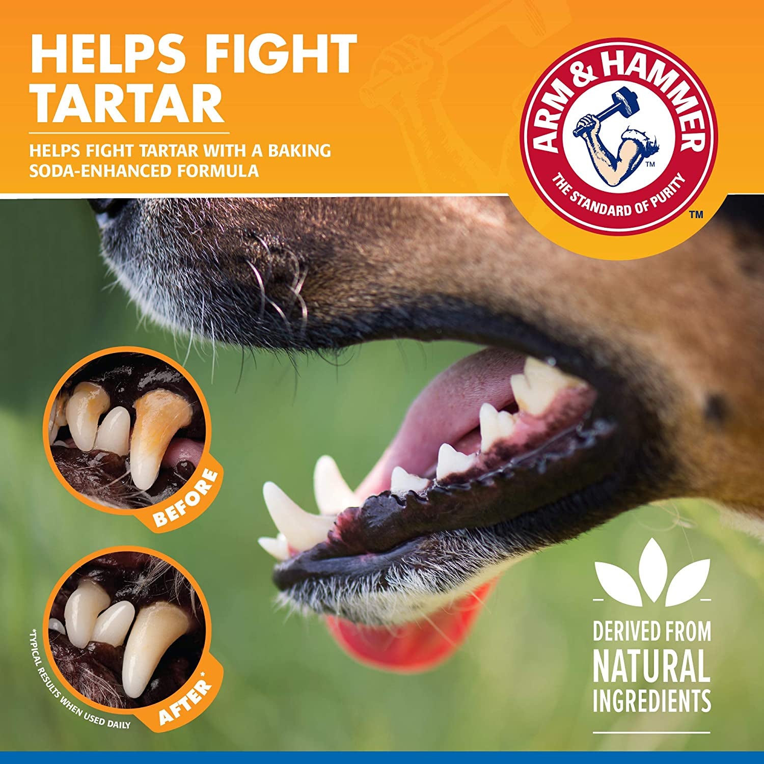 for Pets Tartar Control Dental Spray for Dogs, Mint Flavor - Dog Breath Freshener, Dog Plaque and Tartar Remover, Dog Dental Care and Teeth Cleaning, 4 Ounce