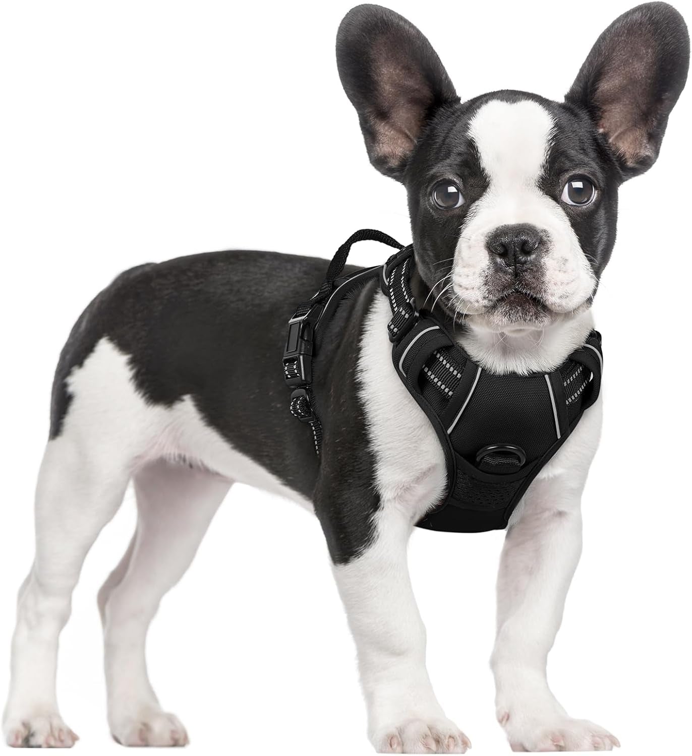 Dog Harness No Pull with 2 Leash Clips, Adjustable Soft Padded, Reflective Oxford No Choke Pet Vest with Easy Control Handle for Small Dogs, Black, S