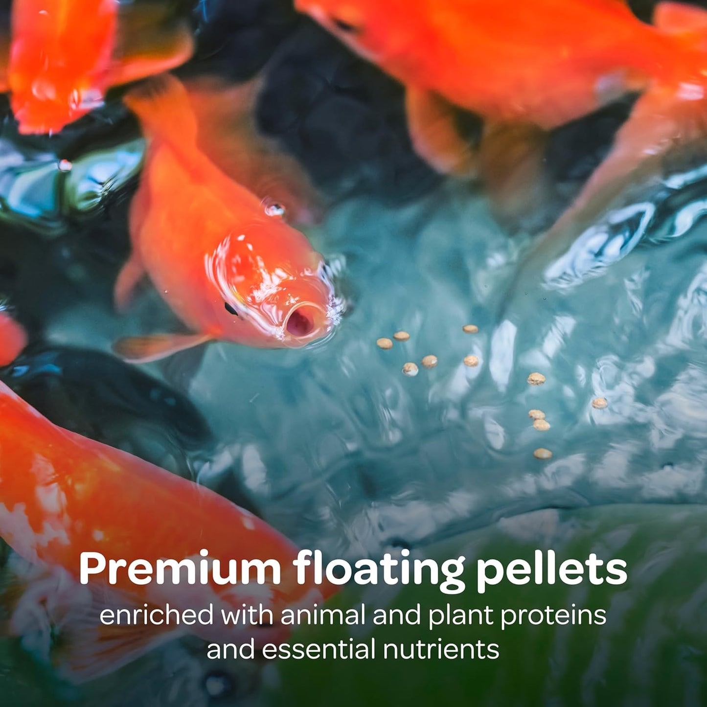 Koi'S Choice Koi Floating Fish Food, 10 Pound