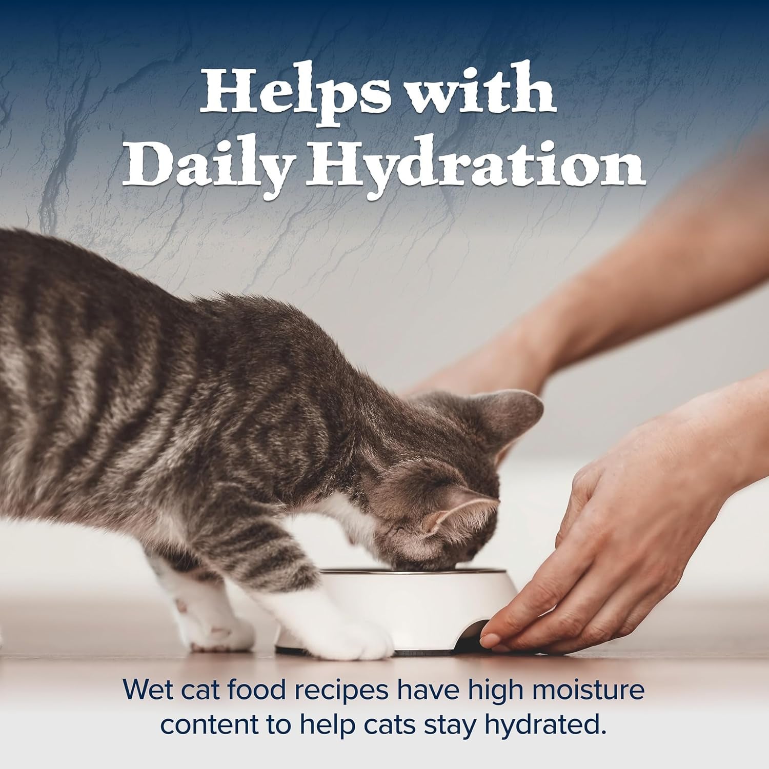 Wilderness High-Protein Grain-Free Wet Kitten Food, Chicken Paté Recipe, 3-Oz Cans, 24-Count