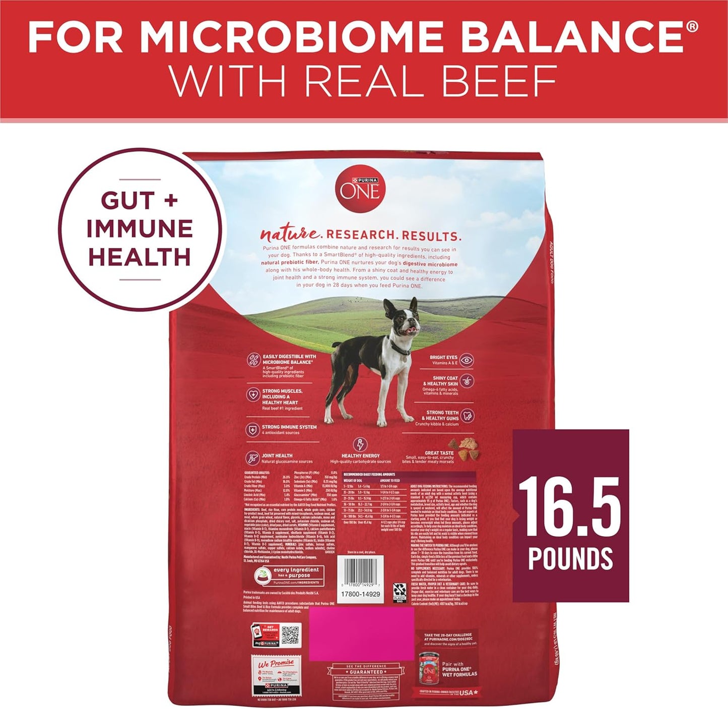 Small Bites Beef and Rice Formula Small High Protein Dry Dog Food Natural with Added Vitamins, Minerals and Nutrients - 16.5 Lb. Bag