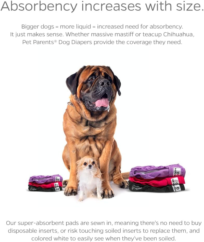 ® Washable Dog Diapers (3Pack) + Extendrs® of Durable Doggie Diapers, Premium Dog Diapers Female (Large, Princess)