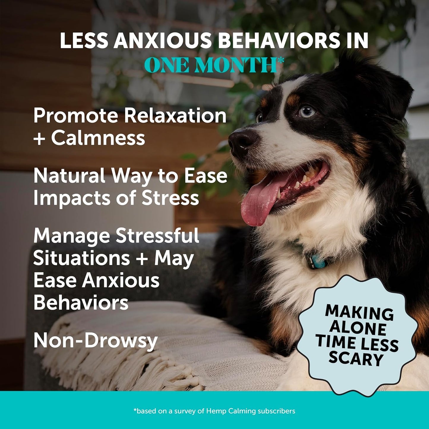 Natural Hemp Calming Chews for Dogs - Dog Anxiety Relief - Calming Aid Supplement with Valerian Root, Chamomile, + Magnesium - Stress, Separation & Thunder Support - (Beef Liver, 90 Count)