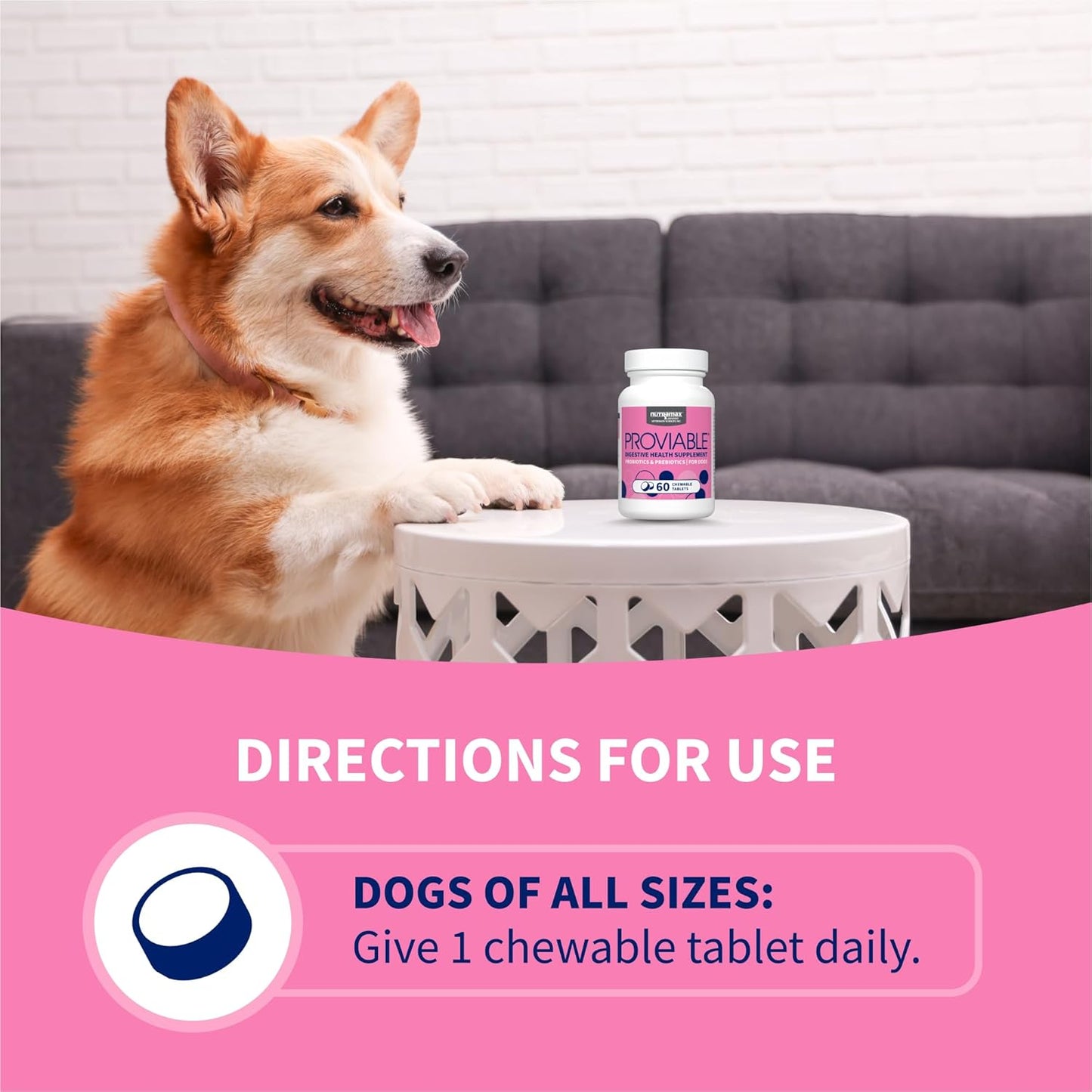Nutramax Proviable Probiotics for Dogs, Daily Digestive Health Supplement with Multiple Strains of Bacteria, Dog Probiotics plus Prebiotics, 60 Chewable Tablets
