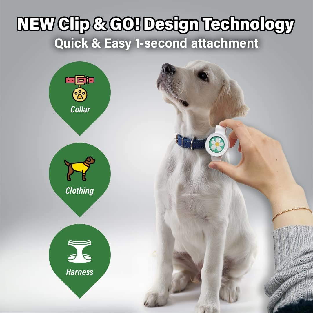 Bug-Off Clip for Dogs [2 Pack] Repels Flea, Tick & Ants for 60 Days, Natural Flea and Tick Repellent Collar [Made in Korea] Aegis by  (Basketball & Smile)