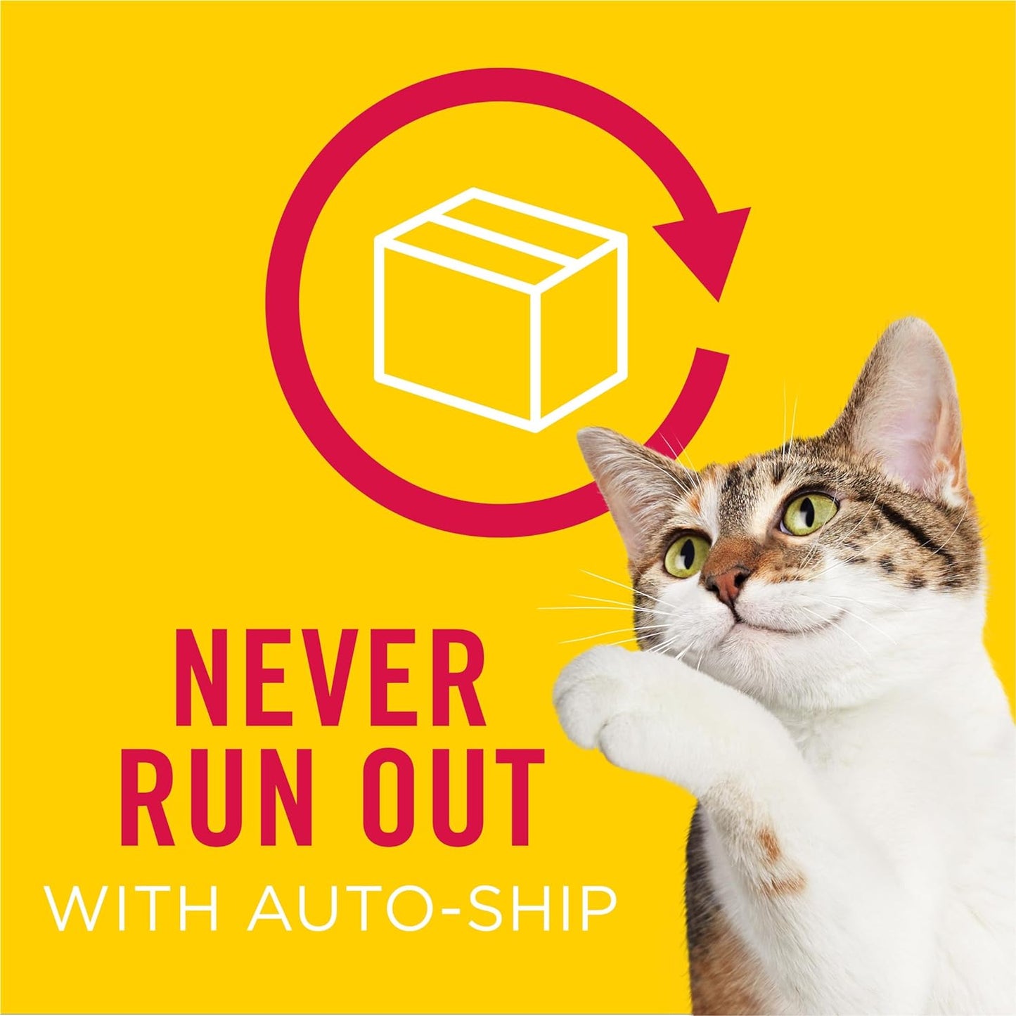 Purina  Wet Cat Food Variety Pack, Oceans of Delight Flaked and Prime Filets - (Pack of 40) 5.5 Oz. Cans