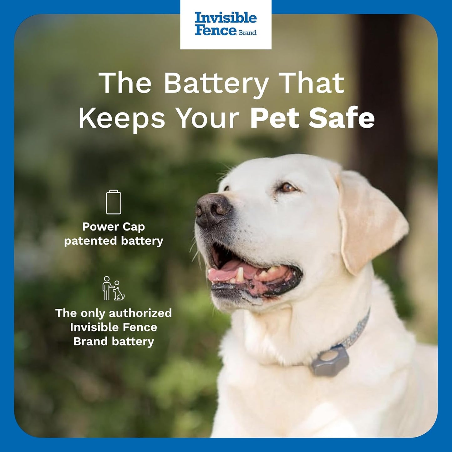 Power Cap Battery - Original IFB Electric Fence Battery Replacement for Dog Collars - Long-Lasting - 2 Pack