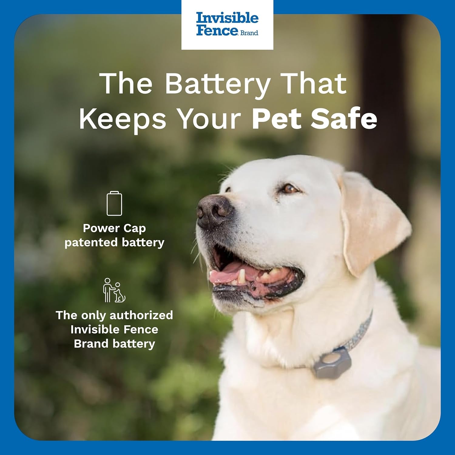 Power Cap Battery - Original IFB Electric Fence Battery Replacement for Dog Collars - Long-Lasting - 2 Pack