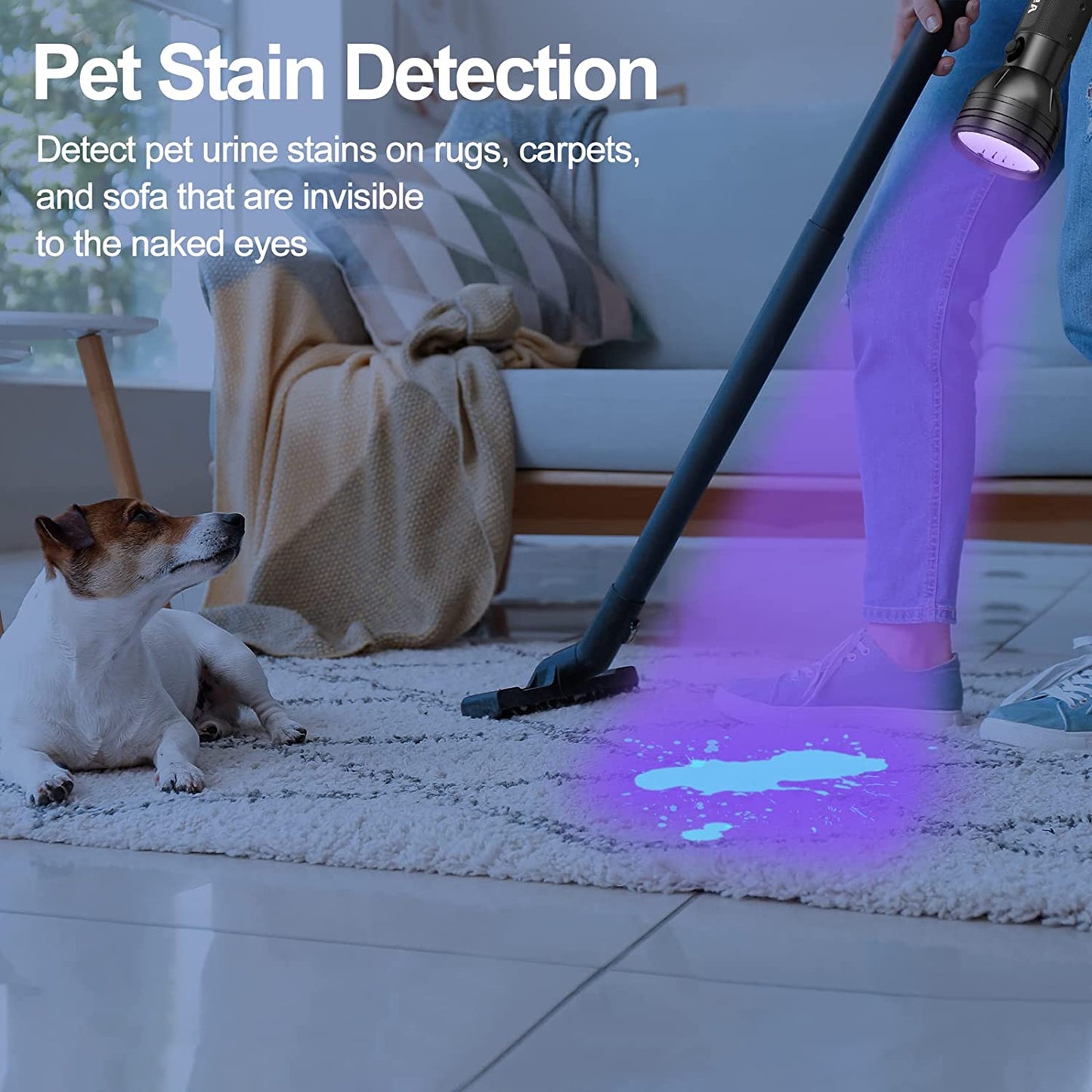 UV Flashlight Black Light, 51 LED Blacklight Pet Urine Detector for Dog/Cat Urine, Dry Stains, Bed Bug, Resin Curing, Scorpions Finder