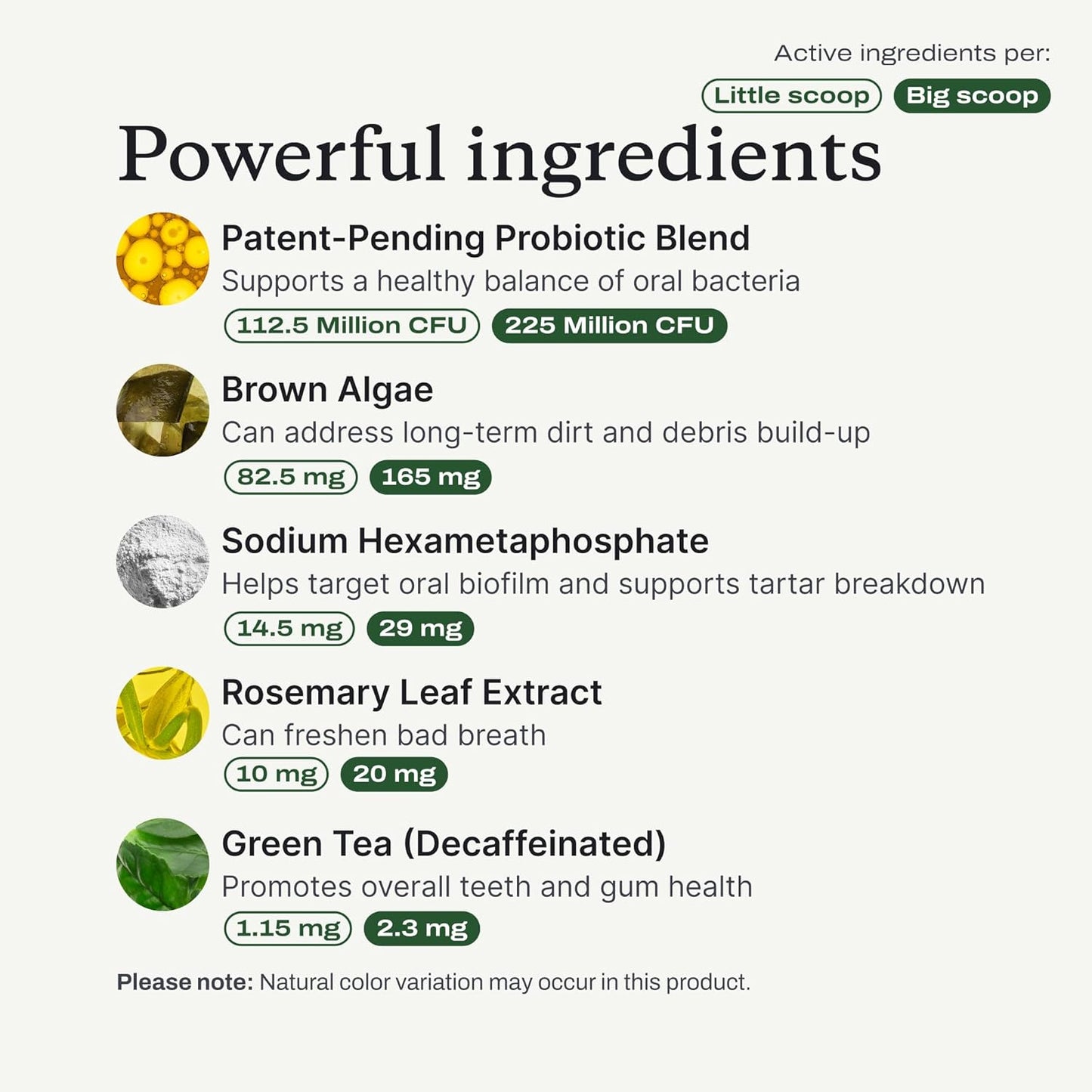 Probright Advanced Dental Powder - Dog Breath Freshener - Teeth Cleaning Made Easy – Targets Tartar & Bad Breath - Packaging May Vary - Formulated for Extra Small Dogs