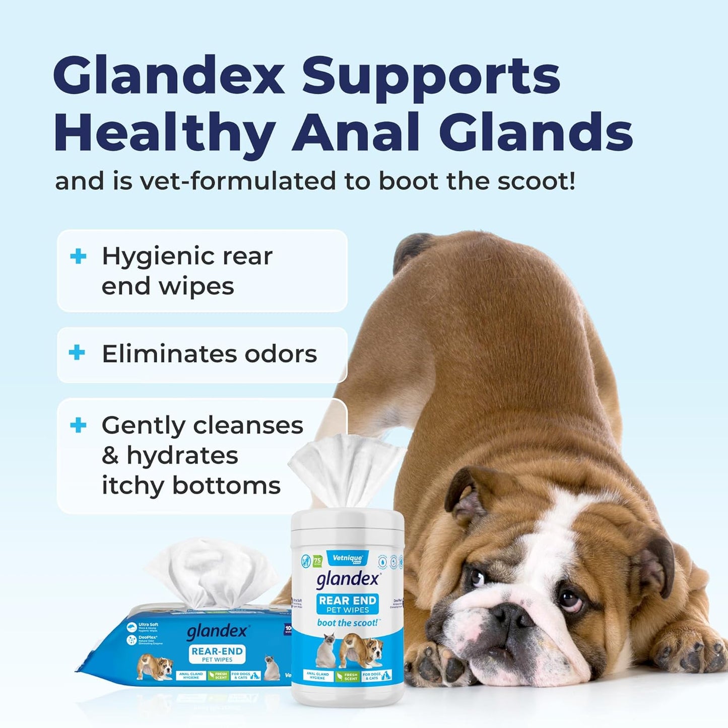Labs Glandex Dog Wipes for Pets Cleansing & Deodorizing Anal Gland Hygienic Dog & Cat Wipes with Vitamin E, Skin Conditioners and Aloe (100Ct Pouch)