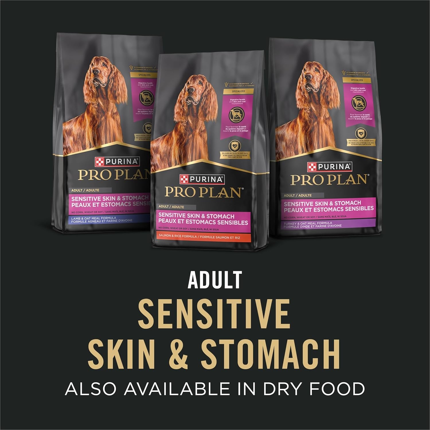 Sensitive Skin and Stomach Dog Food Wet Classic Pate Salmon and Rice Entrée - (Pack of 12) 13 Oz. Cans