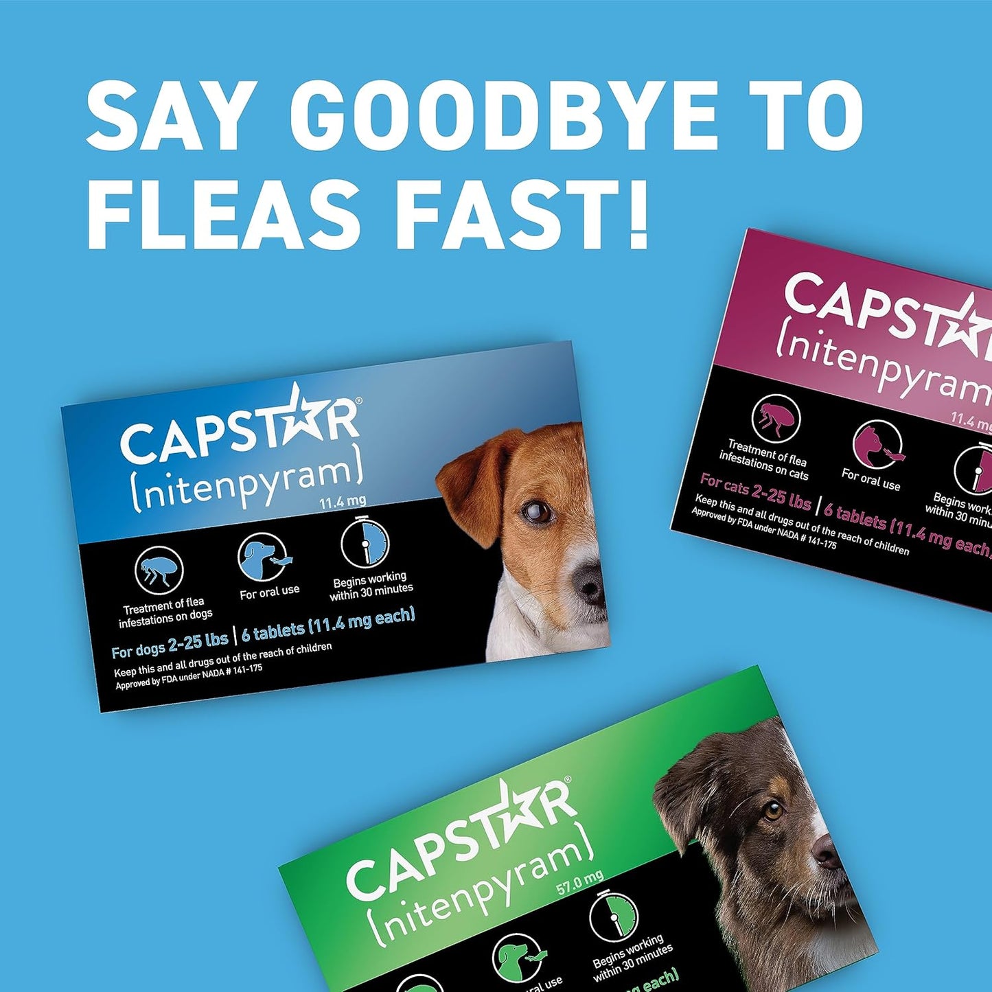 (Nitenpyram) for Dogs Fast-Acting Oral Flea Treatment for Dogs 2-25 Lbs, Vet-Recommended Medication Tablets Start Killing in 30 Minutes, 6 Doses