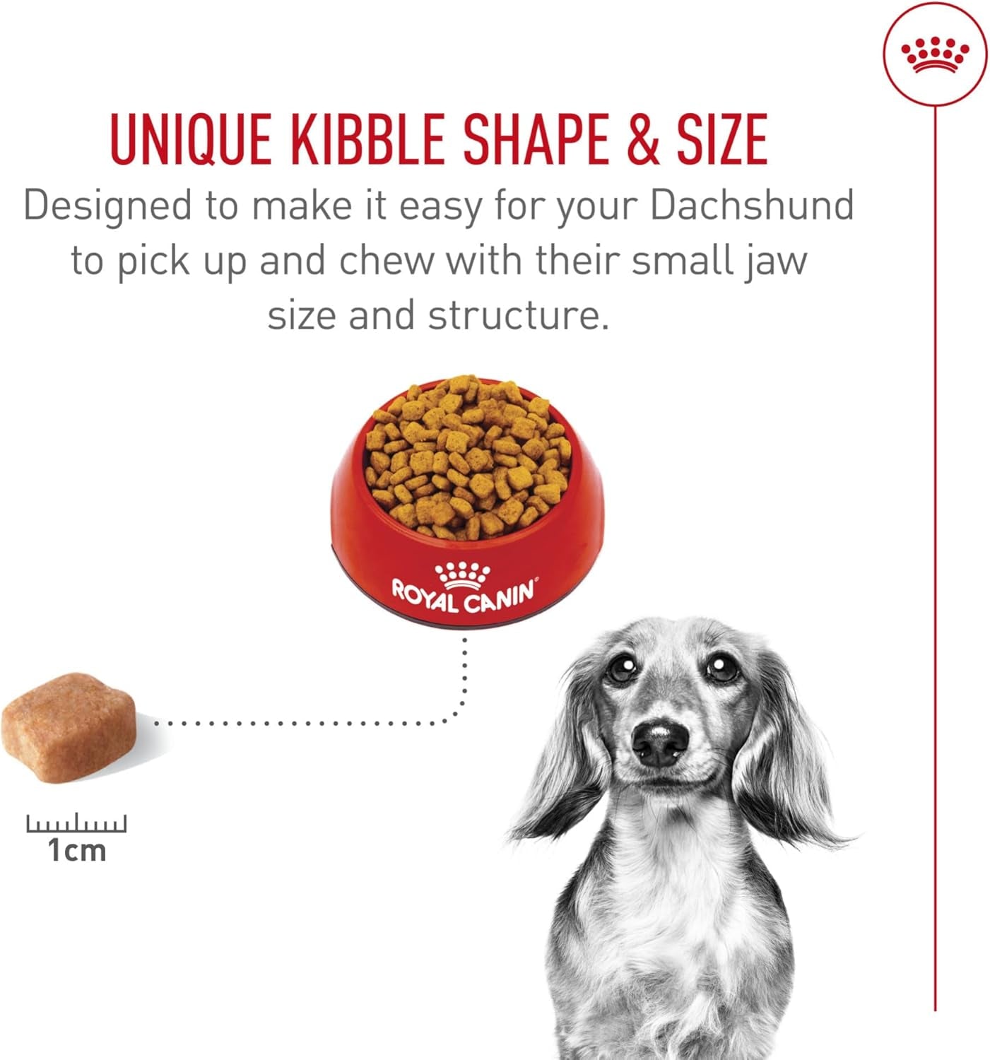 Breed Health Nutrition Dachshund Adult Dry Dog Food, 10 Lb Bag