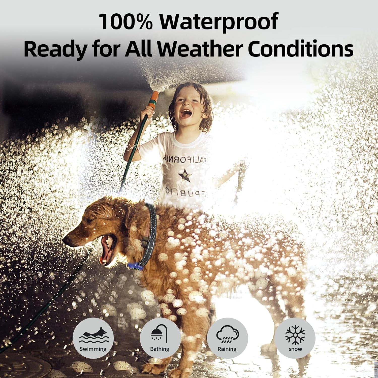 Dog Bark Collar for Large Medium Small Dogs, Rechargeable Smart Bark Collar, anti Barking Training Collar with 5 Adjustable Sensitivity Beep Vibration (Purple)