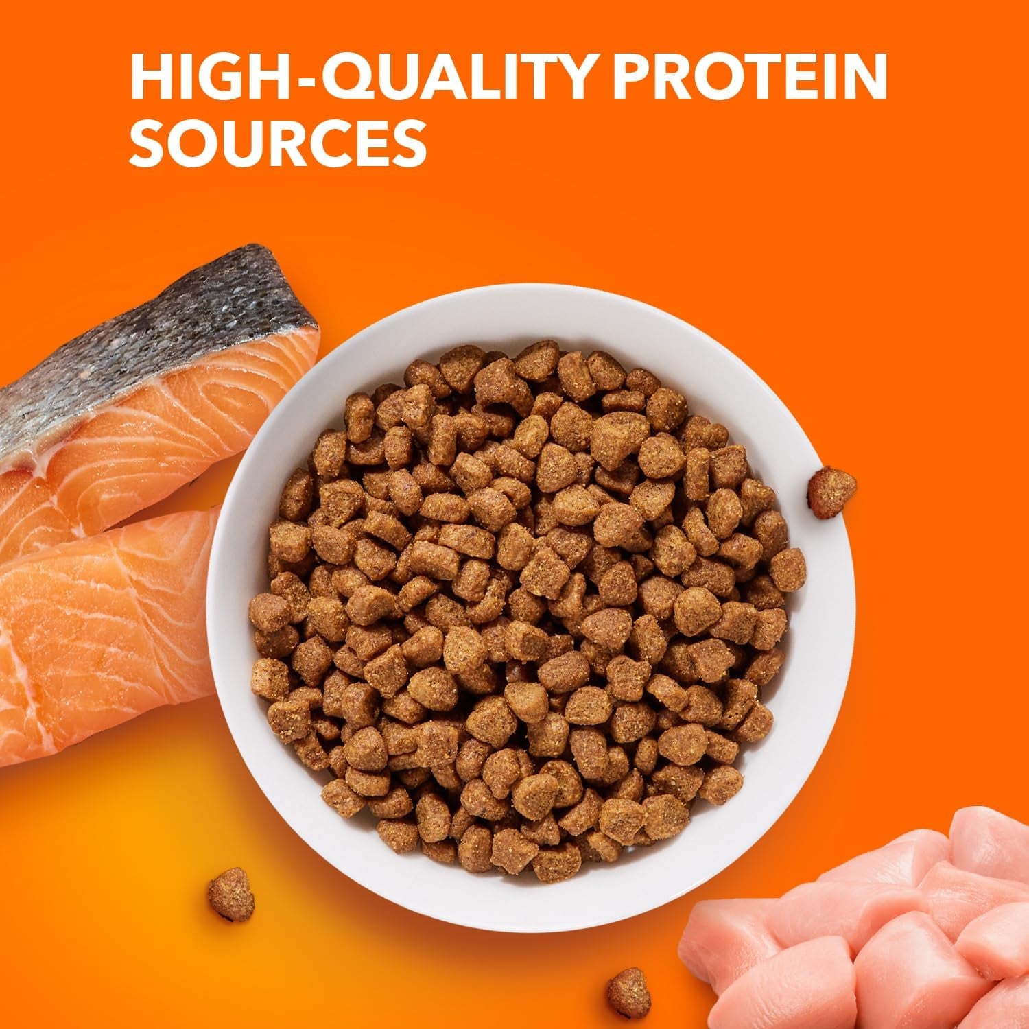 Proactive Health Adult Healthy Dry Cat Food with Real Salmon, 16 Lb. Bag