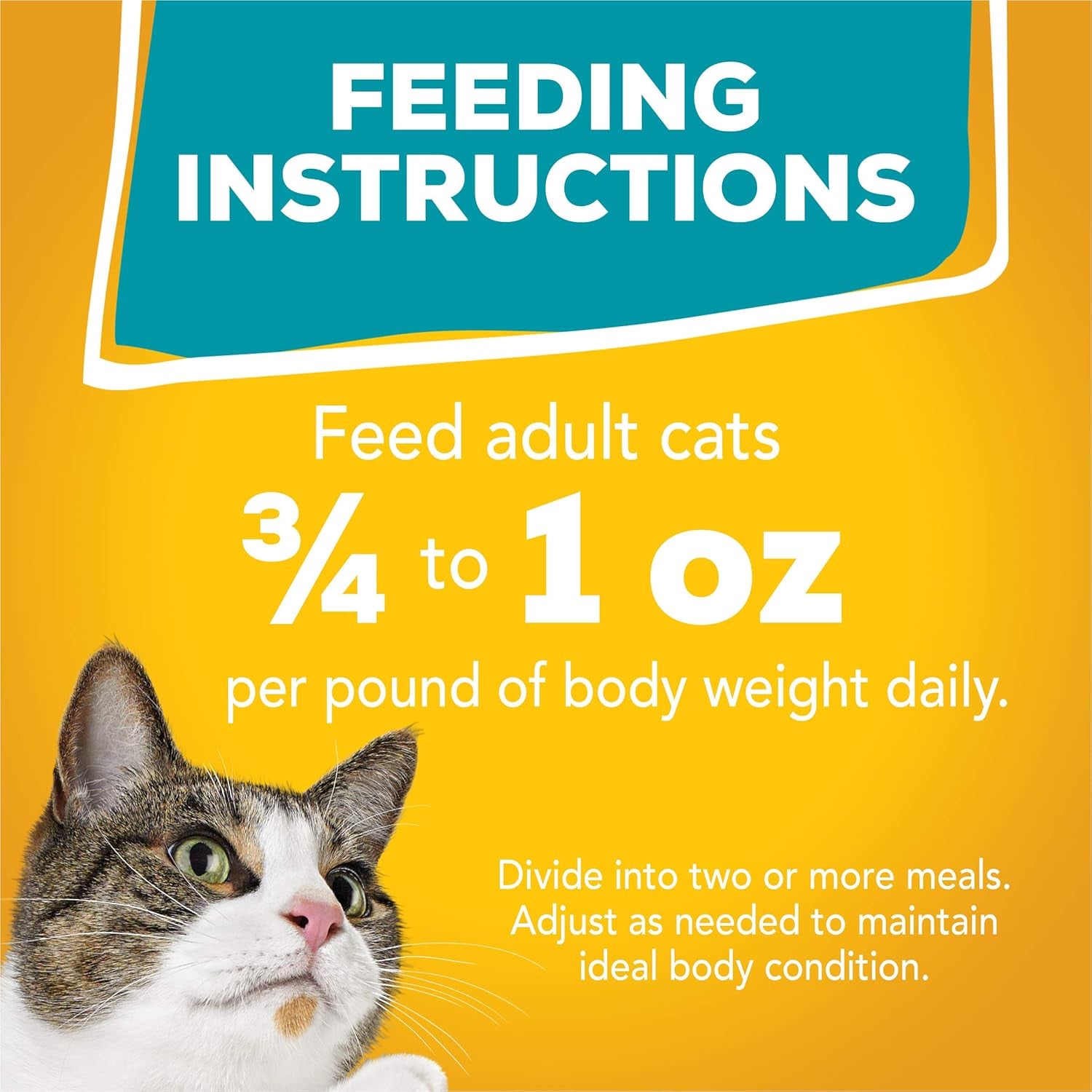 Purina  Wet Cat Food Variety Pack, Tasty Treasures Prime Filets with Chicken, Tuna, Ocean Fish, Turkey, Canned Cat Food Wet Pack of 24, 5.5 Oz Cans
