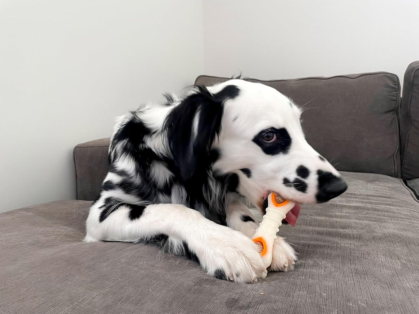 Pop-In Treat-Toy Refill Chews, All-Natural Dog Treats for Treat Dispensing Toys, Chicken Flavor, 90 Count