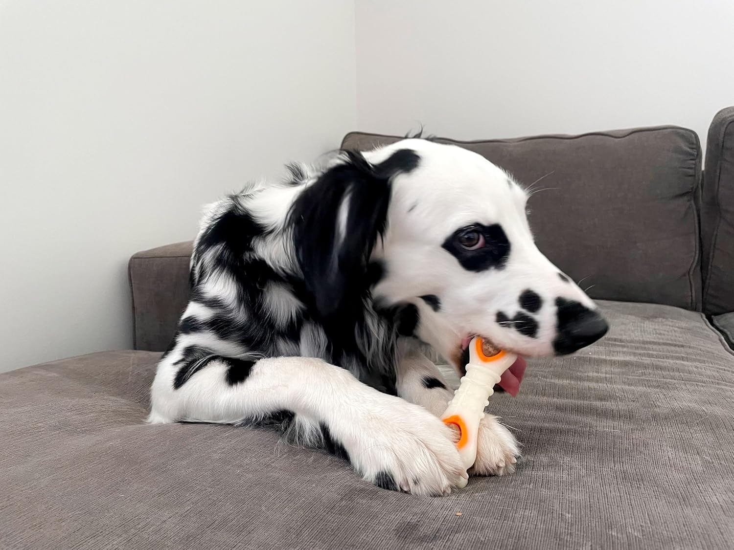 Pop-In Treat-Toy Refill Chews, All-Natural Dog Treats for Treat Dispensing Toys, Chicken Flavor, 90 Count